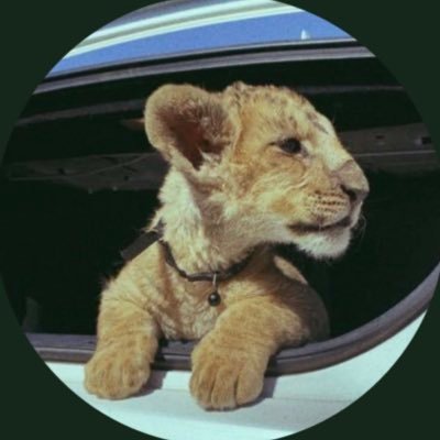 0fliu1's profile picture. 