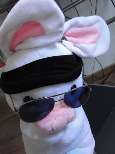 pigrabbitlife's profile picture. Pigrabbit: luv KPOP, releases FRENCH & ENGLISH KPOP PARODIES -- Follow me =3 
[youtube member: mingrecords]
SM TOWN IN PARIS!!!!!!!!!!!!!!!!!!!!!!!!!