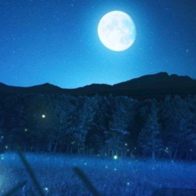 Roach854's profile picture. 21