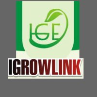Igrowlink Global Enterprises (@igrowlink) 's Twitter Profile