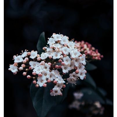 dn22_study's profile picture. 