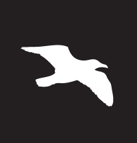 surfcamindex's profile picture. Local and world surfing news. No junk. Check out our website for surf cams from all over and a link to the mobile app!