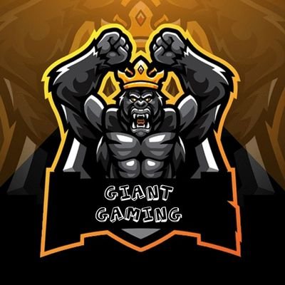 YASHU2105's profile picture. I don’t need to get a life, I am a gamer, I have lots of lives