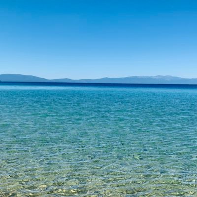 WafflesINLondon's profile picture. 