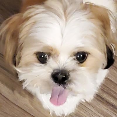 OHSTbucksfan's profile picture. 