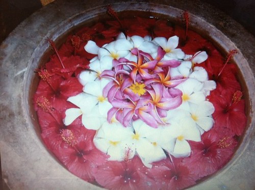 babi0127's profile picture. 真面目なマイペーーース*☻