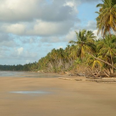 davellhernande2's profile picture. He/Him ML 🇹🇹 🌹🏳️‍🌈 ✝️