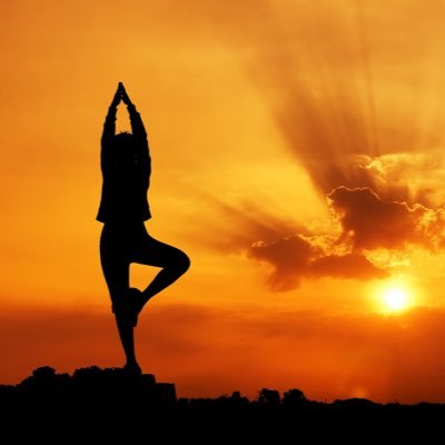 m_y_dream_2020's profile picture. 