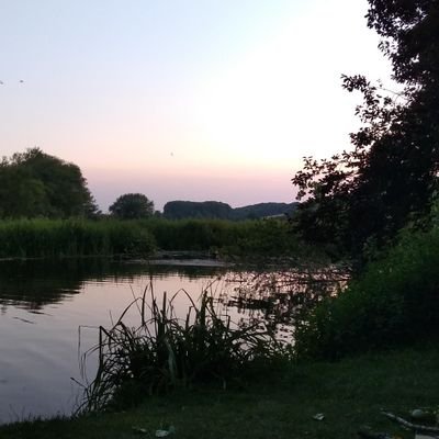 Neuaddin Profile