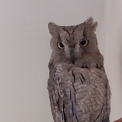 illuminat__'s profile picture. ‏‏‏نوبت مام میشه