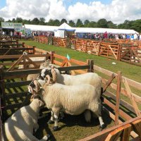 Askwith Show (@askwithshow) 's Twitter Profile