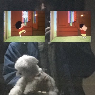 curtisho456's profile picture. 