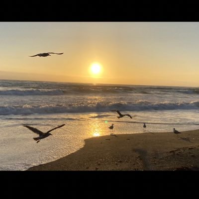 marthaamazing's profile picture. 