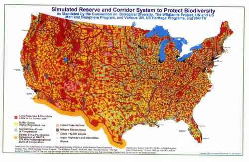 Constitutionalist, State's Rights, Being Free, No Property Tax, Resist UN Agenda 21, Tea Pary, Debra Medina, Ron Paul, Stop ICLEI!