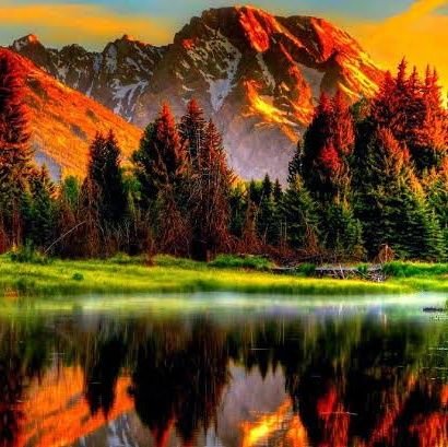 mdthaslim22's profile picture. 