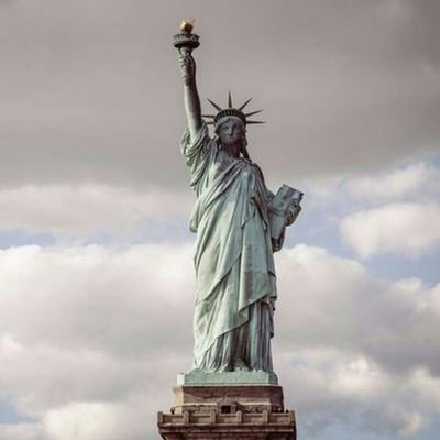 majid_shallips's profile picture. .