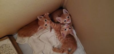 gYBa0Ci9pBEnHJC's profile picture. 