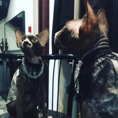 blogpos84307375's profile picture. 