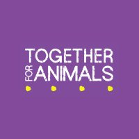 Together For Animals 🐱🐶🐴(@TogetherAnimals) 's Twitter Profile Photo