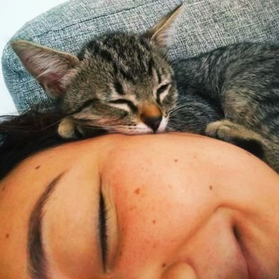 priliesato's profile picture. 