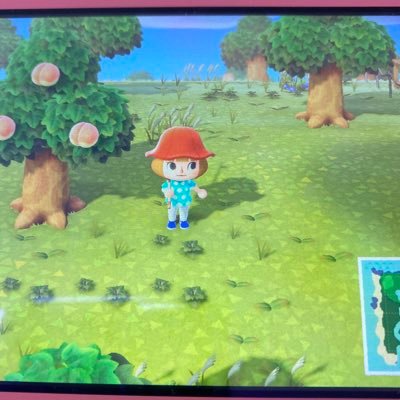 ayumomo7771's profile picture. 