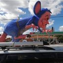 ¿DÓNDE PUTAS ESTÁ EL DINERO? - @DorisBejarano6 - Twitter