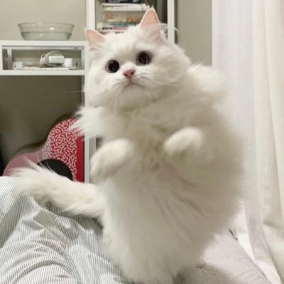 walaalaalaa's profile picture. You had me at hello