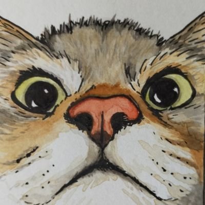 PurpleCatさんのプロフィール画像