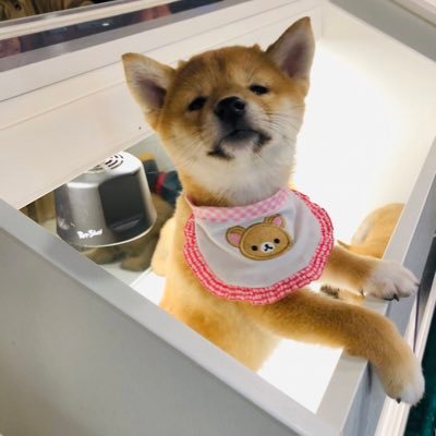 delliger2's profile picture. 