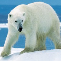 GER Communication Environnement Science Société (@ger_commenviron) 's Twitter Profile