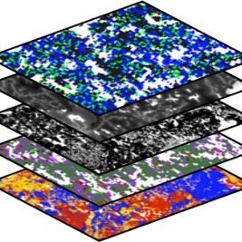 GisProgramming's profile picture. 