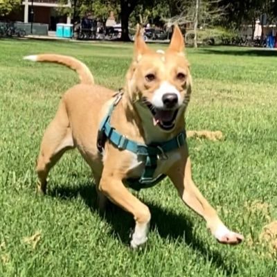 JayZlot's profile picture. Studies human geography, migration, tourism. Here to ruin you next vacation.