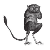 Asterius (@ensase) 's Twitter Profile