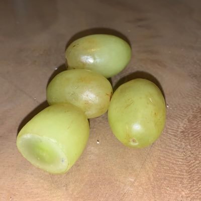 dumb_bicth's profile picture. 