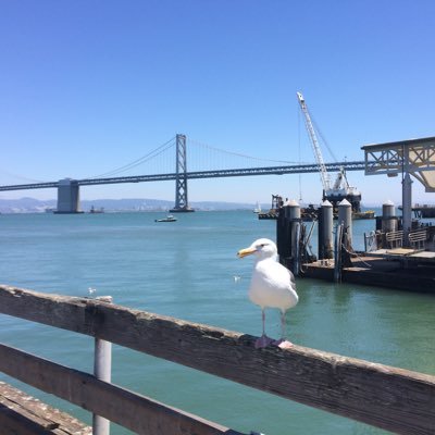 Opinions are my own alone and not attributable to any other person, entity, department, or agency. My profile picture is where Kate Steinle was shot and killed.