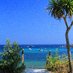 come2scilly.com (@come2scilly) Twitter profile photo come2scilly.com (@come2scilly) Twitter profile photo
