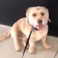 Rozegod (@rozegod13) 's Twitter Profile Photo