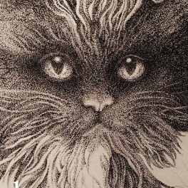 黒猫†フランベルジュのアイコン