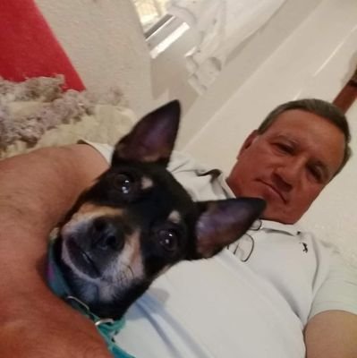 No importa que hablen de mí
Normalmente los perros, le Ladran a quien no conocen
Anti López Obrador 😤
Anti chairos mediocres resentidos sociales