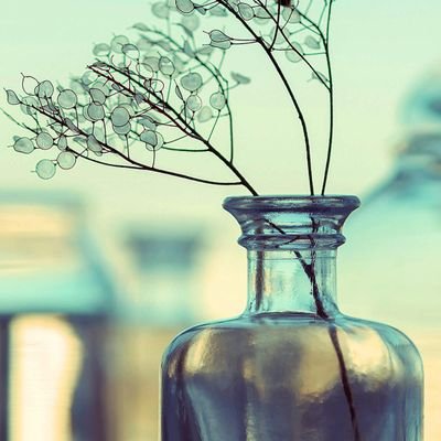 King_Ottokar_'s profile picture. Vintage Cars