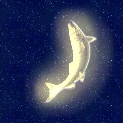 すごくシャケさんのプロフィール画像