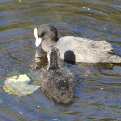 doreendarnelle1's profile picture. i was born in the falkland islands, moved to the uk in 1969,,now living in ashton-under-lyne   ,love gardening, walking, taking pics