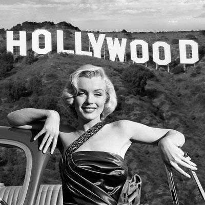 Freyja_______'s profile picture. 