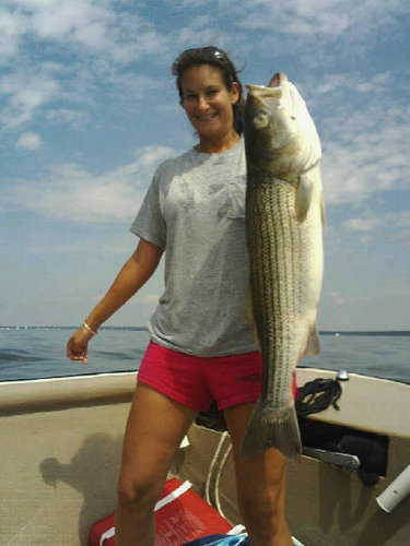 ktcamou's profile picture. 