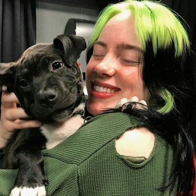 boiolinha pela @billieeilish.
