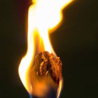 maviş (@ahmetdevri) 's Twitter Profile