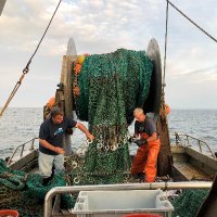 Seafood Harvesters of America