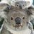 hoofs16's profile image