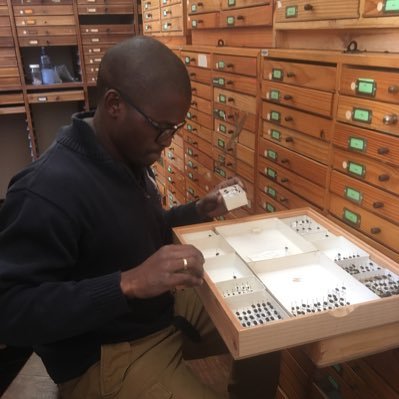 Research scientist interested in dung beetles | based at National Museum Bloemfontein