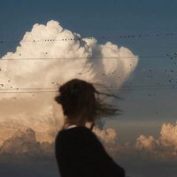 Moonlight (@beebeez78) 's Twitter Profile Photo